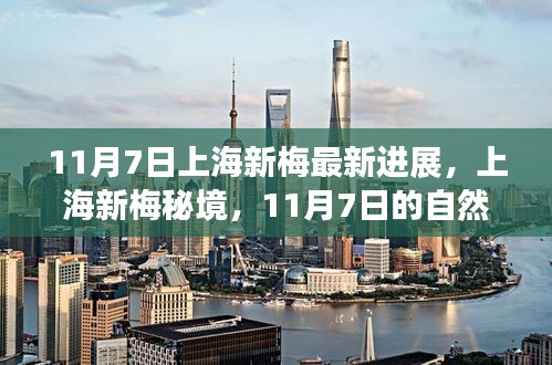 条款 第555页