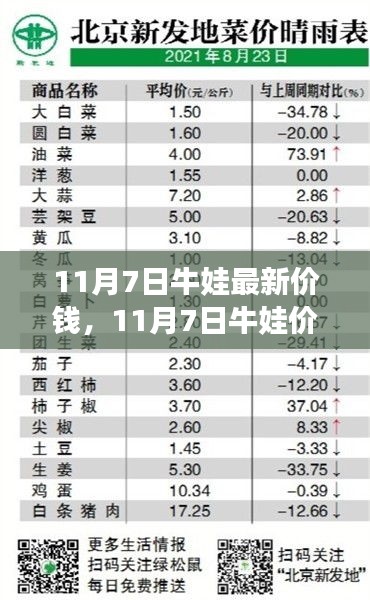 产品 第563页