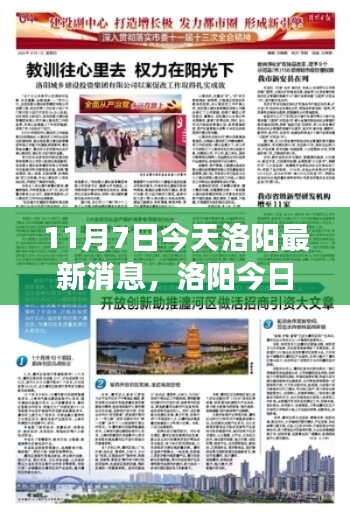 条款 第553页