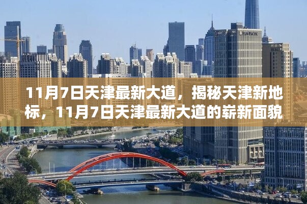 案例 第535页