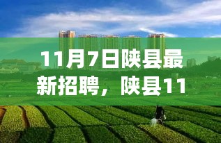 产品 第562页