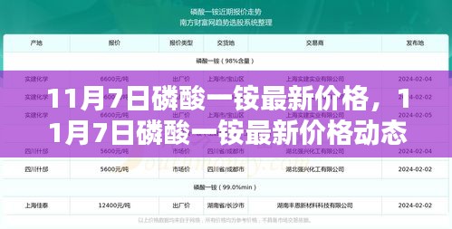 11月7日磷酸一铵最新价格动态及市场分析