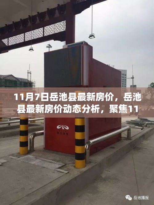 岳池县最新房价动态，聚焦市场走向与个人观点（11月7日更新）