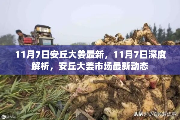 评价 第556页
