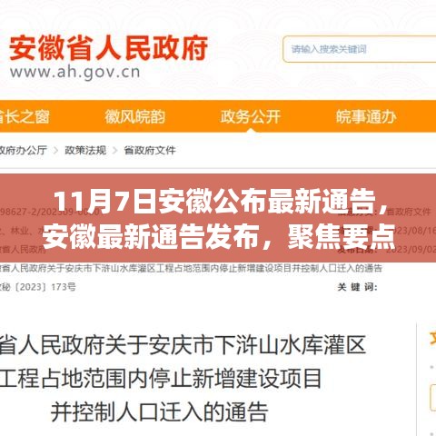 评价 第555页