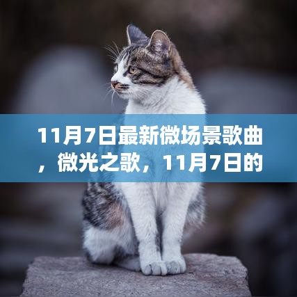 案例 第532页