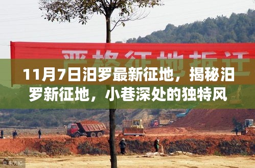 初告白 第46页