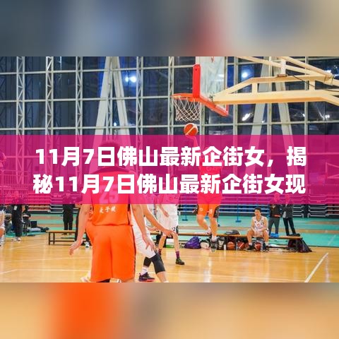 案例 第527页
