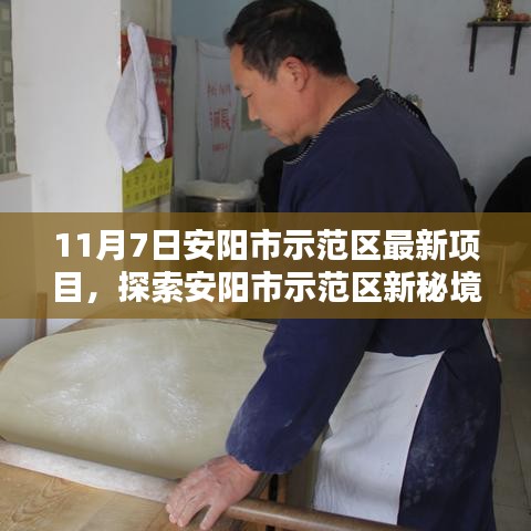 admin 第45页