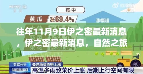 伊之密自然之旅启程，探寻美景背后宁静力量的最新消息（往年11月9日）
