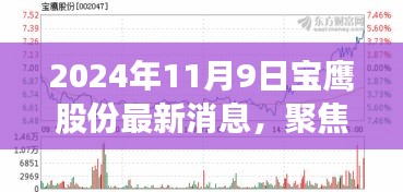 宝鹰股份未来展望，最新动态下的观点碰撞与个人立场