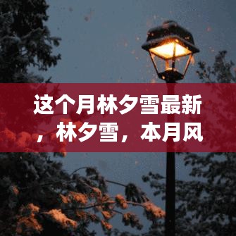 林夕雪本月风云人物深度解析，最新动态与影响力解析