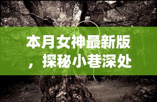 云烟 第43页