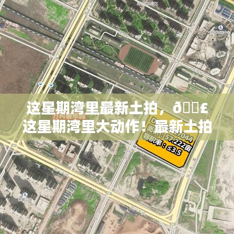 花开无言 第39页