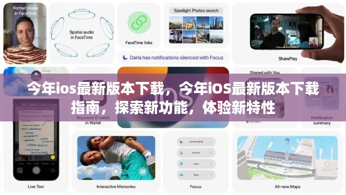 条款 第533页