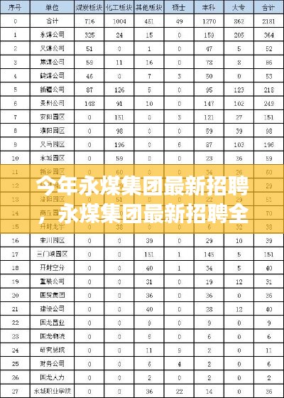 永煤集团最新招聘全面解析，特性、体验、竞争分析与目标用户群体深度探讨