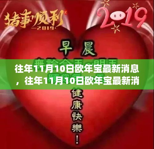 往年11月10日欧年宝最新消息全面解读与观点碰撞