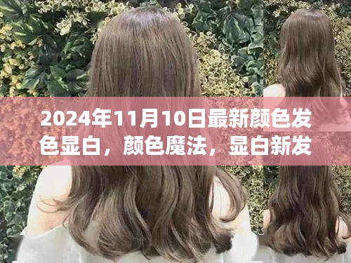 新闻 第512页