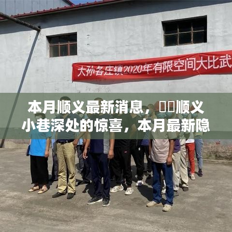 商品分类 第513页