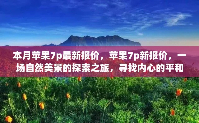 商品分类 第506页