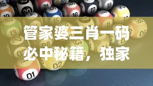 管家婆三肖一码必中秘籍，独家解析解读_本地版NFI873.48