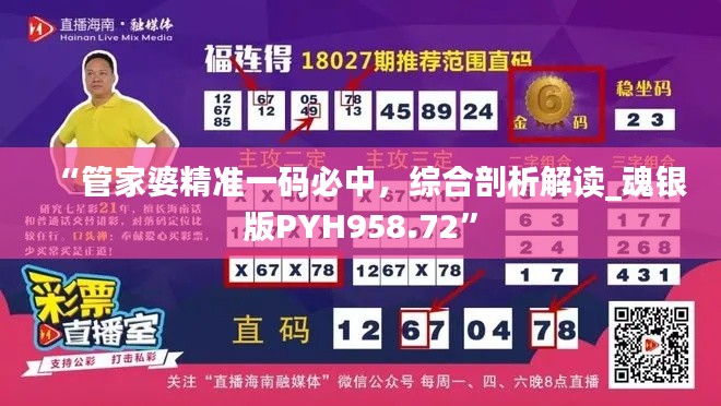“管家婆精准一码必中，综合剖析解读_魂银版PYH958.72”