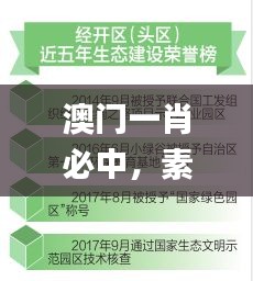 条款 第493页