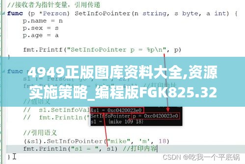 4949正版图库资料大全,资源实施策略_编程版FGK825.32