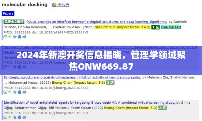 2024年新澳开奖信息揭晓，管理学领域聚焦ONW669.87