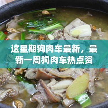 最新狗肉车热点资讯，行业趋势深度解读与热点探讨