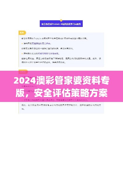 2024澳彩管家婆资料专版，安全评估策略方案_YDI345.48