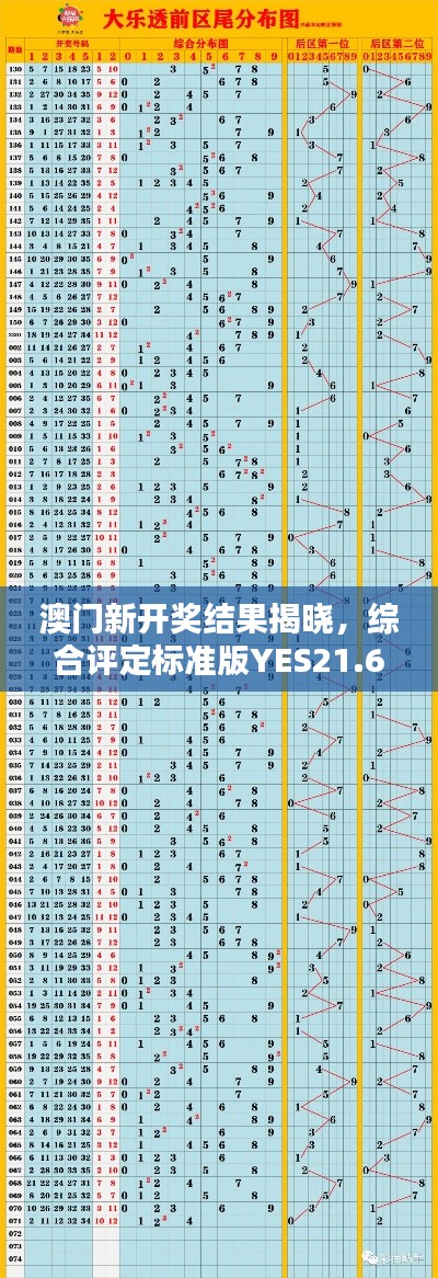 澳门新开奖结果揭晓，综合评定标准版YES21.6盒装