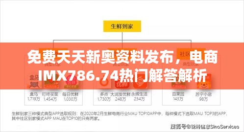 免费天天新奥资料发布，电商IMX786.74热门解答解析