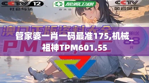 管家婆一肖一码最准175,机械_祖神TPM601.55