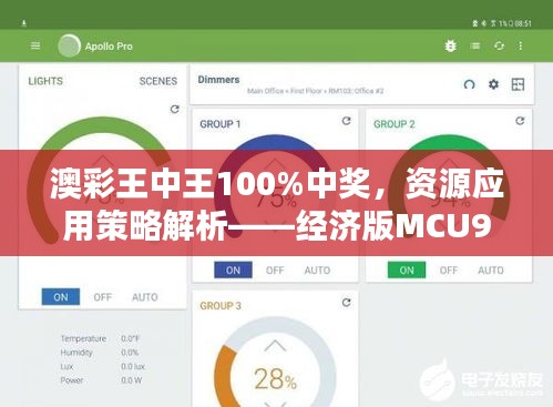 澳彩王中王100%中奖，资源应用策略解析——经济版MCU944.04