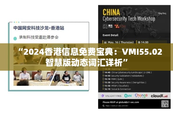 “2024香港信息免费宝典：VMI55.02智慧版动态词汇详析”