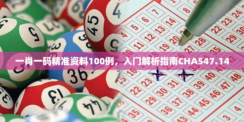 一肖一码精准资料100例，入门解析指南CHA547.14