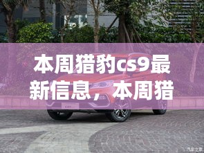 容光焕发 第35页