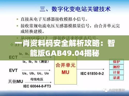 一肖资料码安全解析攻略：智能版GAB49.04揭秘