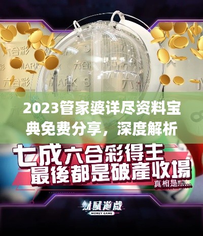 2023管家婆详尽资料宝典免费分享，深度解析_影像版NLQ587.31