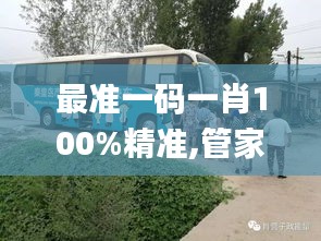 最准一码一肖100%精准,管家婆,动态词语解析_桌面版QFL354.75