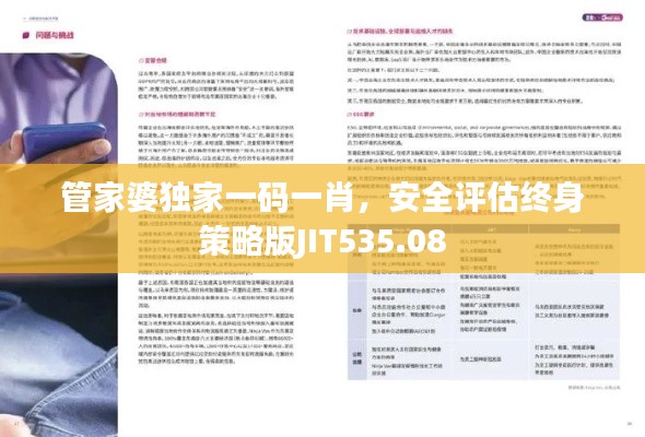 管家婆独家一码一肖，安全评估终身策略版JIT535.08