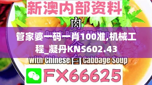 管家婆一码一肖100准,机械工程_凝丹KNS602.43