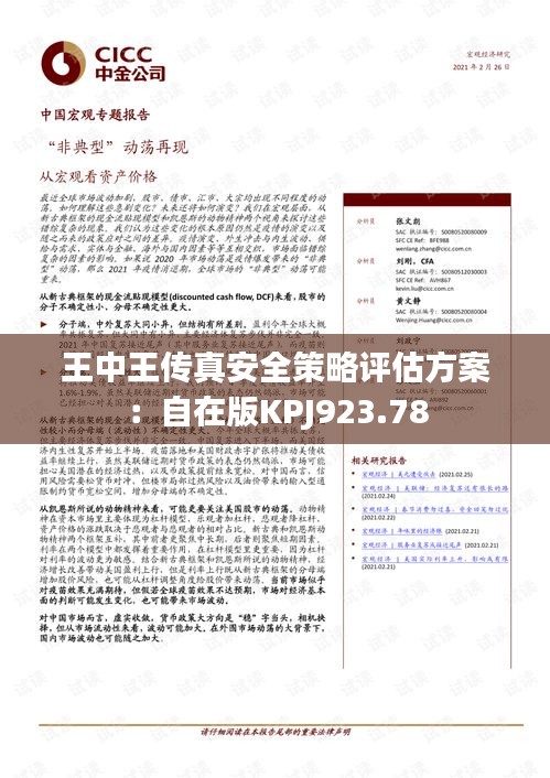 王中王传真安全策略评估方案：自在版KPJ923.78