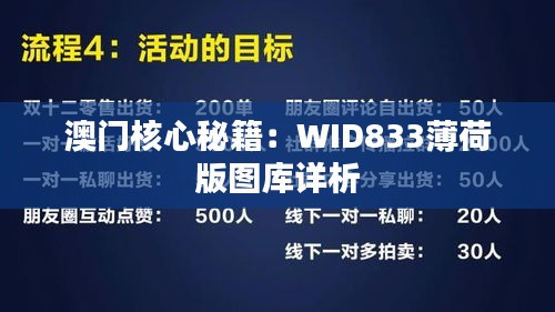 澳门核心秘籍：WID833薄荷版图库详析