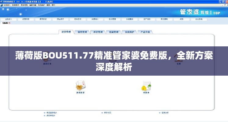 花开无言 第28页