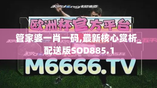 sanrenchenghu 第13页