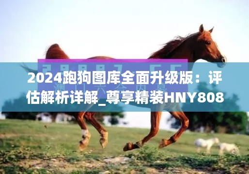benzourufei 第13页