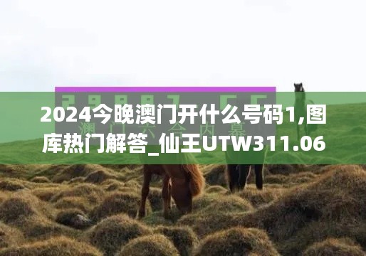 神采奕奕 第32页