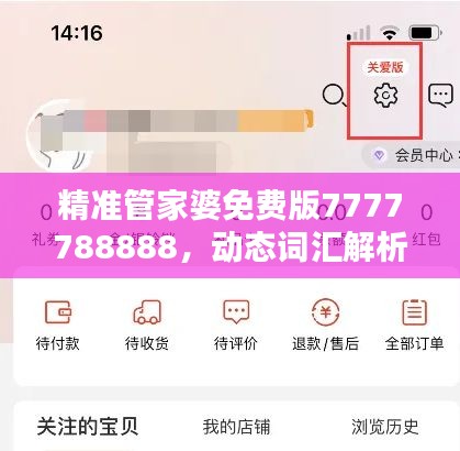 精准管家婆免费版7777788888，动态词汇解析——学院版LAT319.01
